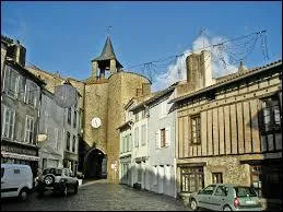 Cette nouvelle balade débute à Parthenay. Vous pourrez découvrir dans cette ville médiévale sa citadelle ou son pont fortifié Saint-Jacques. Vous pourrez également vous détendre au Festival des Jeux. Considérée comme la capitale de la Gâtine Poitevine, elle se situe dans le département ...