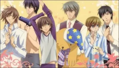 Combien de couples trouve-t-on dans "Junjou Romantica" ?