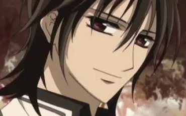 Quiz Vampire knight