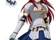 Quiz Fairy Tail : Erza