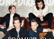 Quiz One Direction