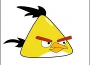 Quiz Angry Birds