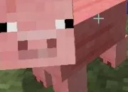 Quiz Minecraft