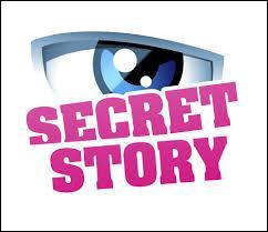 Quiz Secret story