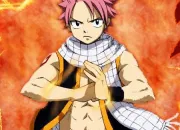 Quiz Fairy Tail- Les personnages