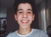 Quiz Un panda moqueur / Sulivan