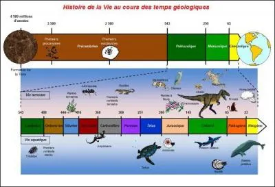 Quelles sont les trois périodes où ont vécu les dinosaures ?