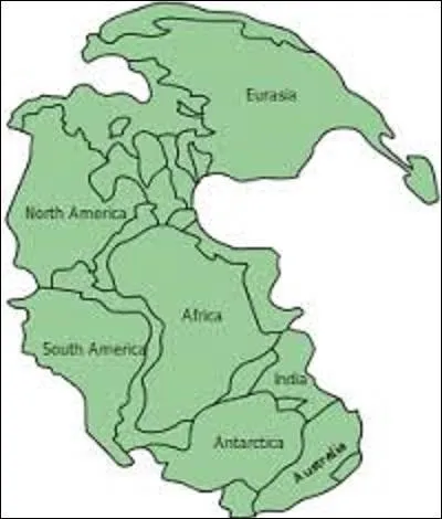 Commençons facile. Quel est le nom de ce supercontinent formé au Carbonifère (-358, 9 à -298, 9 millions d'années), qui comprend toutes les terres émergées ? (il faudra attendre la période du Trias (-252, 2 à -201, 3 millions d'années) pour voir se disperser les morceaux de ce supercontinent et qu'apparaissent les continents actuels).