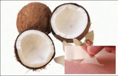 Quelle est l'une des propriétés de l'huile de coco ?