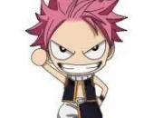 Quiz Natsu Dragnir de Fairy Tail