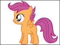 Scootaloo est une jeune...