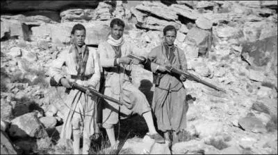 Au moment de l'insurrection en Algérie en 1954, y avait-il :