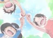 Quiz One Piece : L'enfance des trois frres