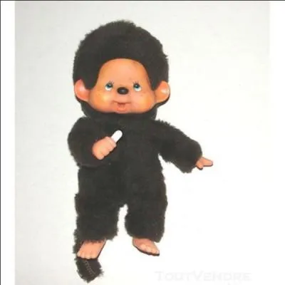 Je suis né au Japon en 1974 sous le nom de Monchhichi. J'ai de beaux yeux bleus et je tiens une tétine à la main. Sous quel nom suis-je plus connu ?