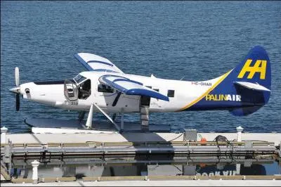 Du grec "palin" (en arrière) et "dromos" (course), que signifie donc ce mot de "palindrome" ?