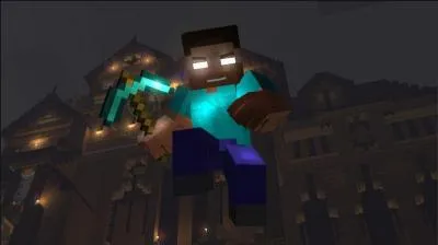 Qui est ce minecraftien ?