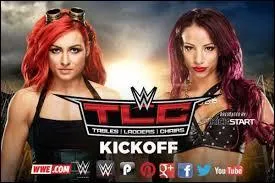 (Pré-show) Qui gagne le combat entre Becky Lynch et Sasha Banks ?