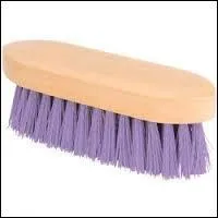 Quelle est cette brosse ?