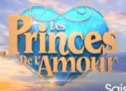 Quiz Les Princes de l'amour 3