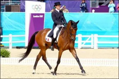 Quel matériel est interdit en compétition de dressage, en France ?