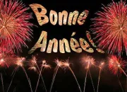 Quiz Bonne anne  tous les Quizzbiziens !