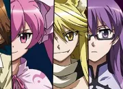 Quiz Akame ga Kill !