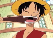 Quiz One Piece : Un peu d'orthographe