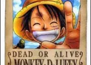 Quiz One Piece dans le dsordre