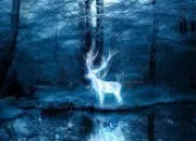 Quiz Harry Potter : les patronus