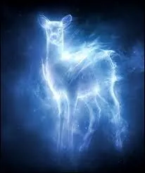 A qui appartient ce patronus ?