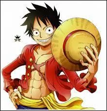 Quel est le nom de famille de Luffy ?