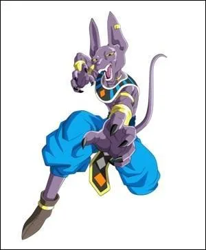 Qui est Beerus ?