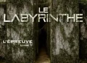 Quiz Le Labyrinthe (livre)