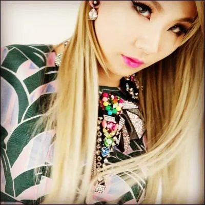 Quel est le leader des 2NE1 ?