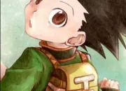 Quiz Personnages de Hunter x Hunter