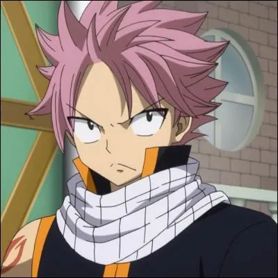 Quel est le seiyuu de Natsu Dragnir (Fairy Tail) ?