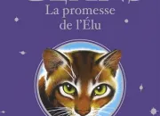 Quiz LGDC ~ La Promesse de l'lu