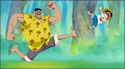 Quel entraînement Monkey D. Garp n'a-t-il pas fait subir à Luffy dans le but de l'endurcir ?