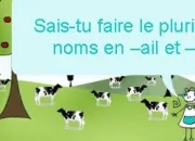 Quiz Pluriel des noms en -ail et -al - (1)