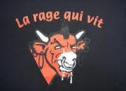 Quiz Vrai ou faux sur la rage