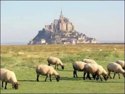 Si l'agneau de pré-salé a une saveur exceptionnelle, cela provient de son mode d'élevage, sur les herbus, pâturages marins qui bordent les côtes. Recouverts par la mer lors des marées, ceux-ci s'imprègnent de sel et d'iode et donnent son goût à l'agneau.