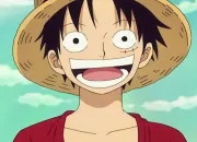 Quiz One Piece : Arc Dressrosa