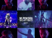 Quiz M. Pokora