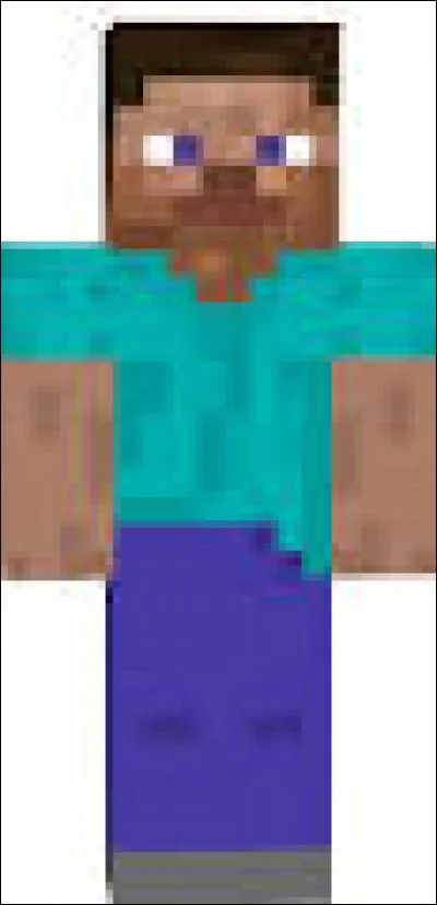 Quel est le nom du skin principal du jeu Minecraft ?