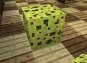 Quiz  Minecraft  - les ponges