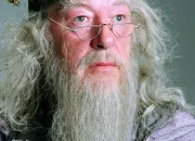 Quiz Albus Dumbledore