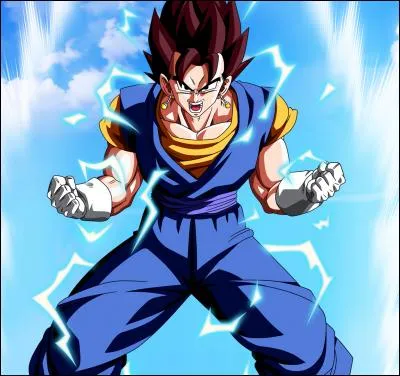 Combien de fois Goku et Vegeta ont fusionné en Vegeto ?