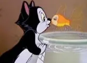 Quiz Les chats de Disney