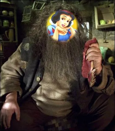 Docteur, je m'appelle Rubeus Hagrid, comme va s'appeler mon demi-frère ?