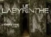 Quiz L'preuve 1 : Le Labyrinthe - Le livre